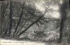 CPA St Junien La Glane et ses bords 