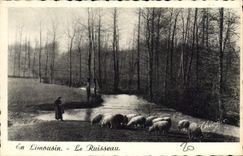 CPA En Limousin Le Ruisseau Moutons