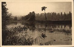 CPA La Region du Limousin Etude de Paysage sur les bords de la Dordogne 