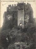 CPA Environs de Limoges Ruines de Chalucet Entree principale 
