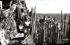 CPA Principaute de Monaco Le Jardin Exotique et vue sur le Rocher 