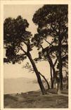 CPA Juan les Pins 