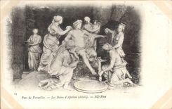 CPA Parc de Versailles Les Bais d'Apollon 