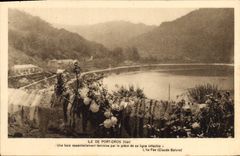 CPA Ile de Port Cros Var Une baie essenrielement terminaine pal la grace de sa ligne inflechie Claud