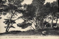 CPA Environs de Cannes Lille Saint Honorat 