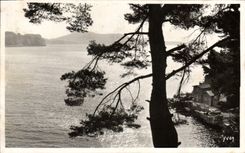 CPA La Douce France Cote d'Axur Toulon Anse de Magaud 