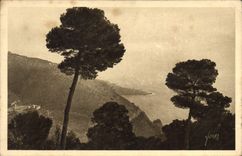 CPA La Douce France Cote d'Azur Route de l'Esterel 