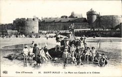 CPA Cote d'Emeraude Saint Malo La Mare aux Canards et le Chateau 
