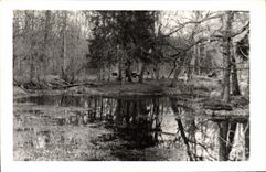 CPA La mare aux bœufs