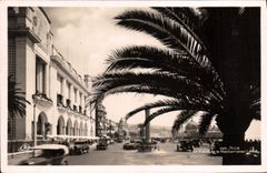 CPA Nice le palais de la Mediterranee 