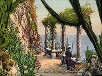 CPA Monaco les jardins exotiques 