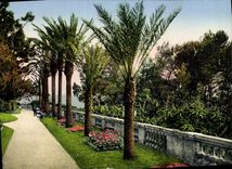 CPA La Cote d'Azur Cap d'Antibes Villa Eilenroc Allee de Palmiers 