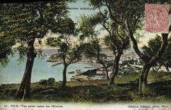 CPA Nice Vue prise entre les Olivers 