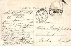 CPA Nice Vue prise du Chateau Jardins des palmiers 