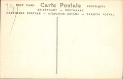 CPA Rade de Morlaix L'Ile Louet et le Chateau du Taureau 