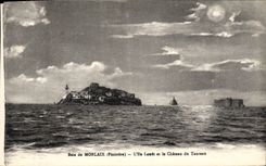 CPA Baie de Morlaix Finistere L'Ile Louet et le Chateau du Taureau 