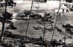 CPA Bretagne Baie de Morlaix Finistere L'Ile Louet et le Chateau du Taureau 