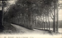 CPA Morlaix Sous bois a l'Armorique 