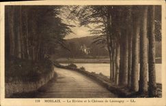 CPA Morlaix La Riviere et le Chateau de Launuguy 