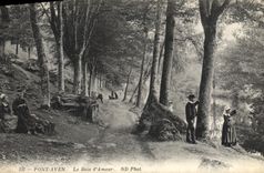 CPA Pont Aven Le Bois d'Amour 