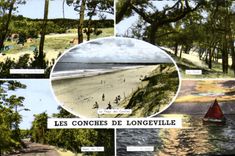 CPA Les Conches de Longeville Plage Camping Fief Benain La foret Coucher de soleil Dans les pins