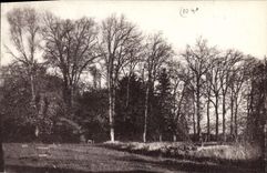 CPA Chateau de Puy Sec par St Martin de Fraigneai Vendee un coin du Parc 