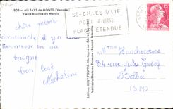 CPA Au Pays de Monts Vendee Vieille Bourine du Marais 