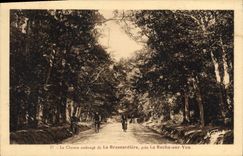 CPA Le Chemin ombrage de la Bressardiere pres la Roche sur Yon 