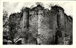CPA Chateaumur Vendee le vieux chateau 