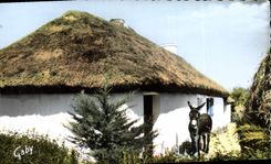 CPA Au pays de Monts Vendee Bourine Vendeenne Ane Mule