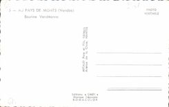 CPA Au pays de Monts Vendee Bourine Vendeenne Ane Mule
