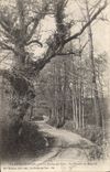 CPA La Brossardiere pres la Roche sur Yon le chemin du Magnou 