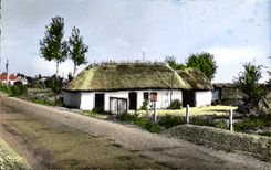 CPA Visions en Vendee au Pays Maraichin une Bourine 