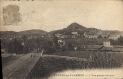 CPA Hyeres les Palmiers vue panoramique 