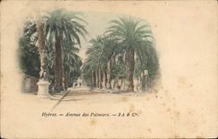 CPA Hyeres Avenue de Palmiers 