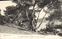 CPA La Cote d'Azur Bandol Paysages Provencaux 
