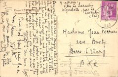 CPA Pins de Le Lavandou 