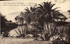 CPA Cote d'Azur Toulon Le Mourillon Jardin au bord de la mer 