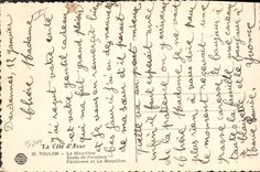 CPA La Cote d'Azur Toulon Le Mourillon Etude de Palmiers 