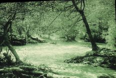 CPA La Colle sur Loup A M Bords du Loup 