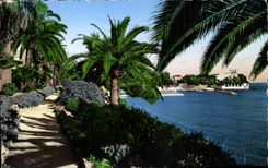 CPA Beaulieu sur Mer Le Jardin Exotique 