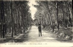 CPA Corniche de L'Esterel Foret d'Aigues Boumi 