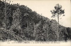 CPA Cote d'Azur L'Esterel Le Sommet du Mont Vinaigre 