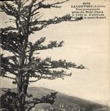 CPA La Louvesc Ardeche Vue plongeante prise du Mont Chaix 