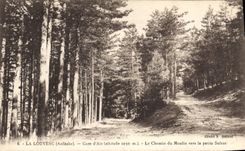 CPA La Louvesc Ardeche Cure d'Air Le Chemin du Moulin vers la petite Suisse 