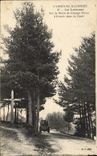 CPA L'Ardeche Illustree La Louvesc sur la Route de Grange Neuve L'Entree dans la Foret Automobile