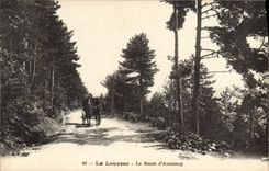 CPA La Louvesc La Route d'Annonay 