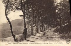 CPA La Louvesc Ardeche L'Allee des Soupirs a Grange Neuve et le Val d'Or 
