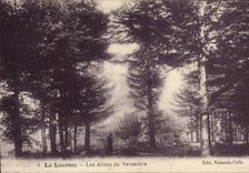 CPA La Louvesc Les Allees de Versailles 