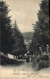 CPA La Louvesc Allee de la Fontaine 